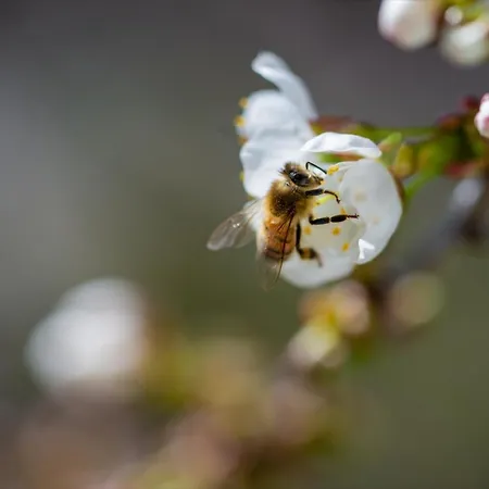 Atelier Probst- Salmannsweilergasse
