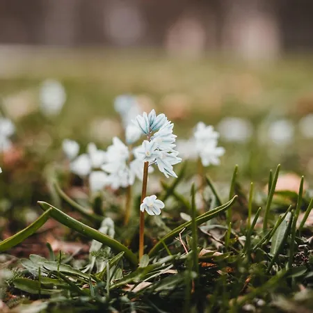 Apartment Atelier Probst- Salmannsweilergasse *