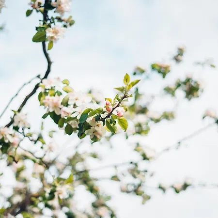 Appartement Atelier Probst- Salmannsweilergasse *