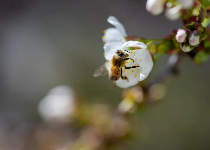 Atelier Probst- Salmannsweilergasse
