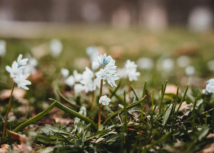 Appartement Atelier Probst- Salmannsweilergasse *